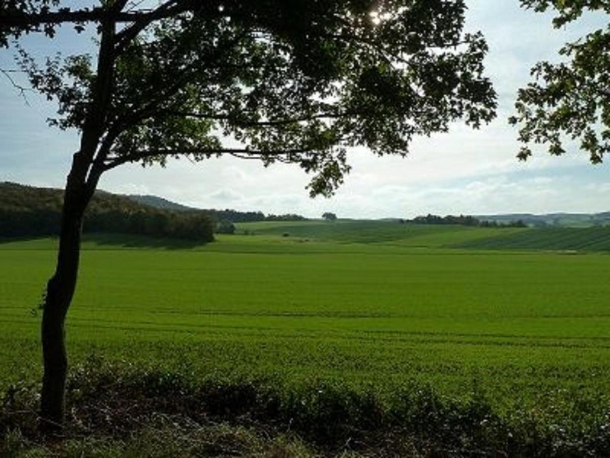 Feriendorf Sulzfeld Villa Sulzfeld  Dış mekan fotoğraf